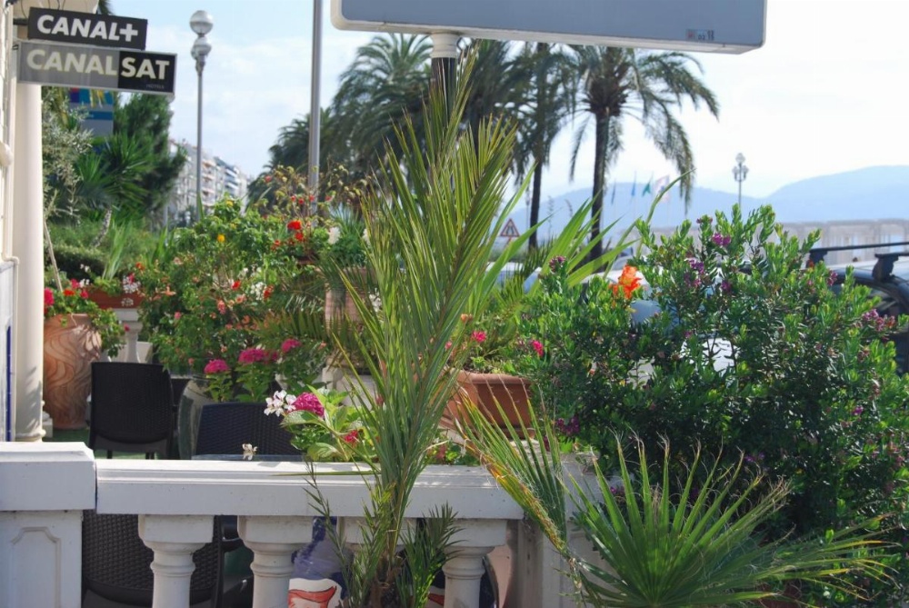 Hôtel Azur Image 23